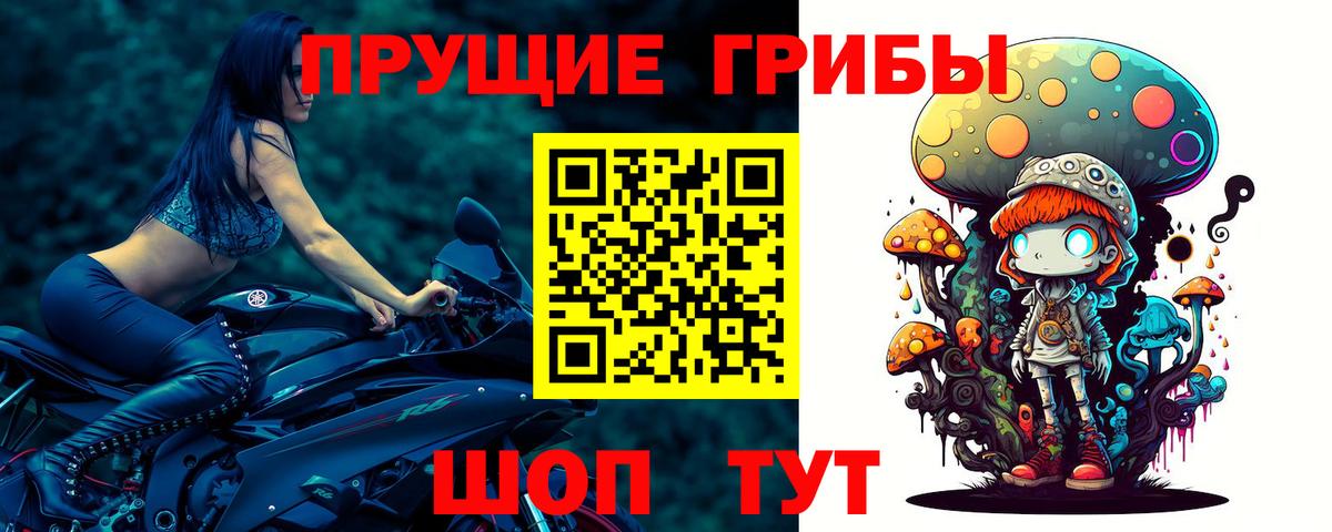 Набережные Челны  Галлюциногенные грибы прущие грибы  Галлюциногенные грибы Psilocybine cubensis  Вход с VPN 